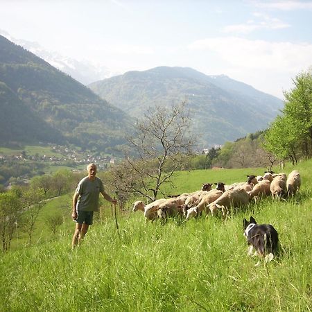 Ferme Auberge Du Bessard 알레바르드 외부 사진