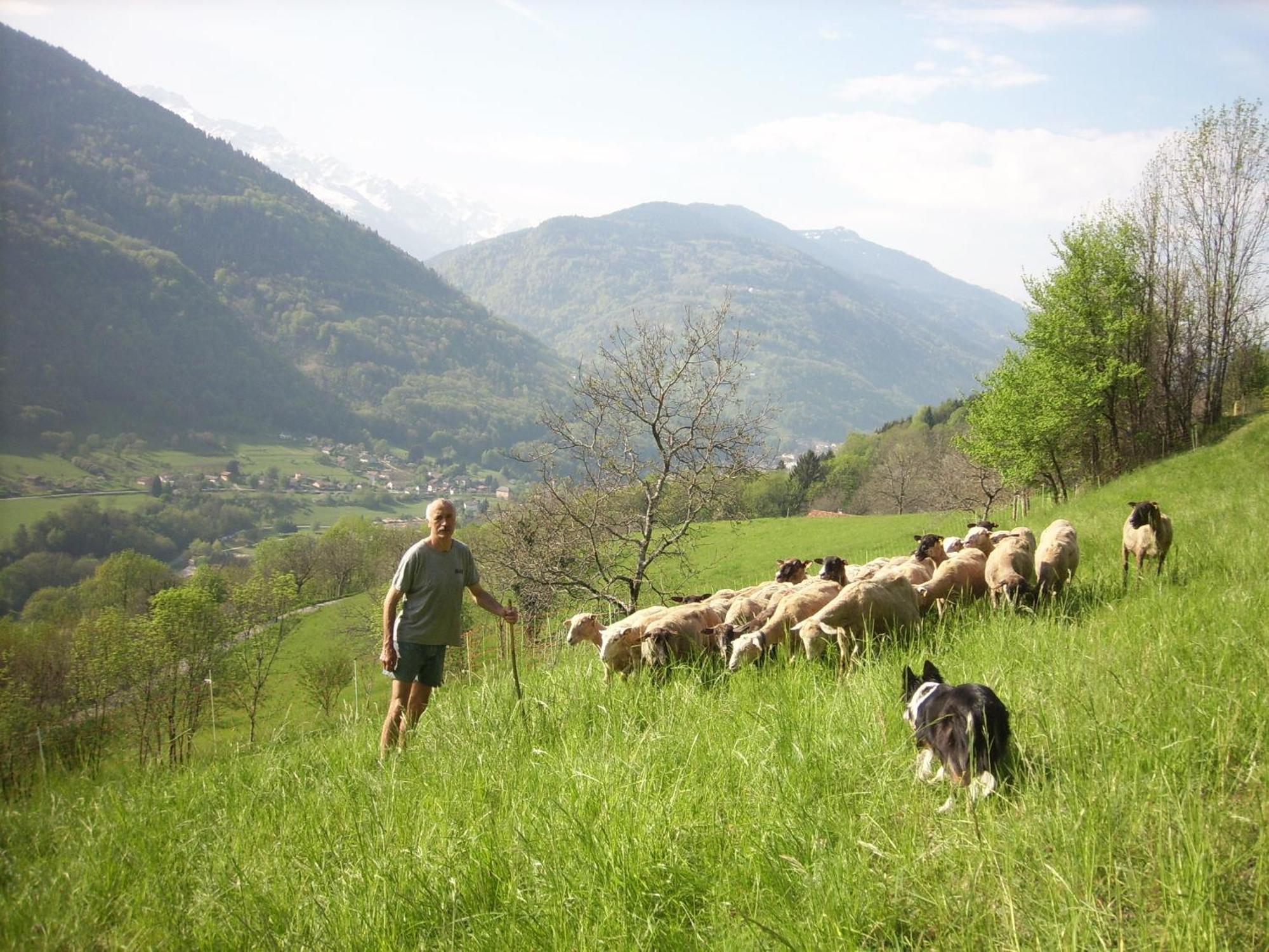 Ferme Auberge Du Bessard 알레바르드 외부 사진